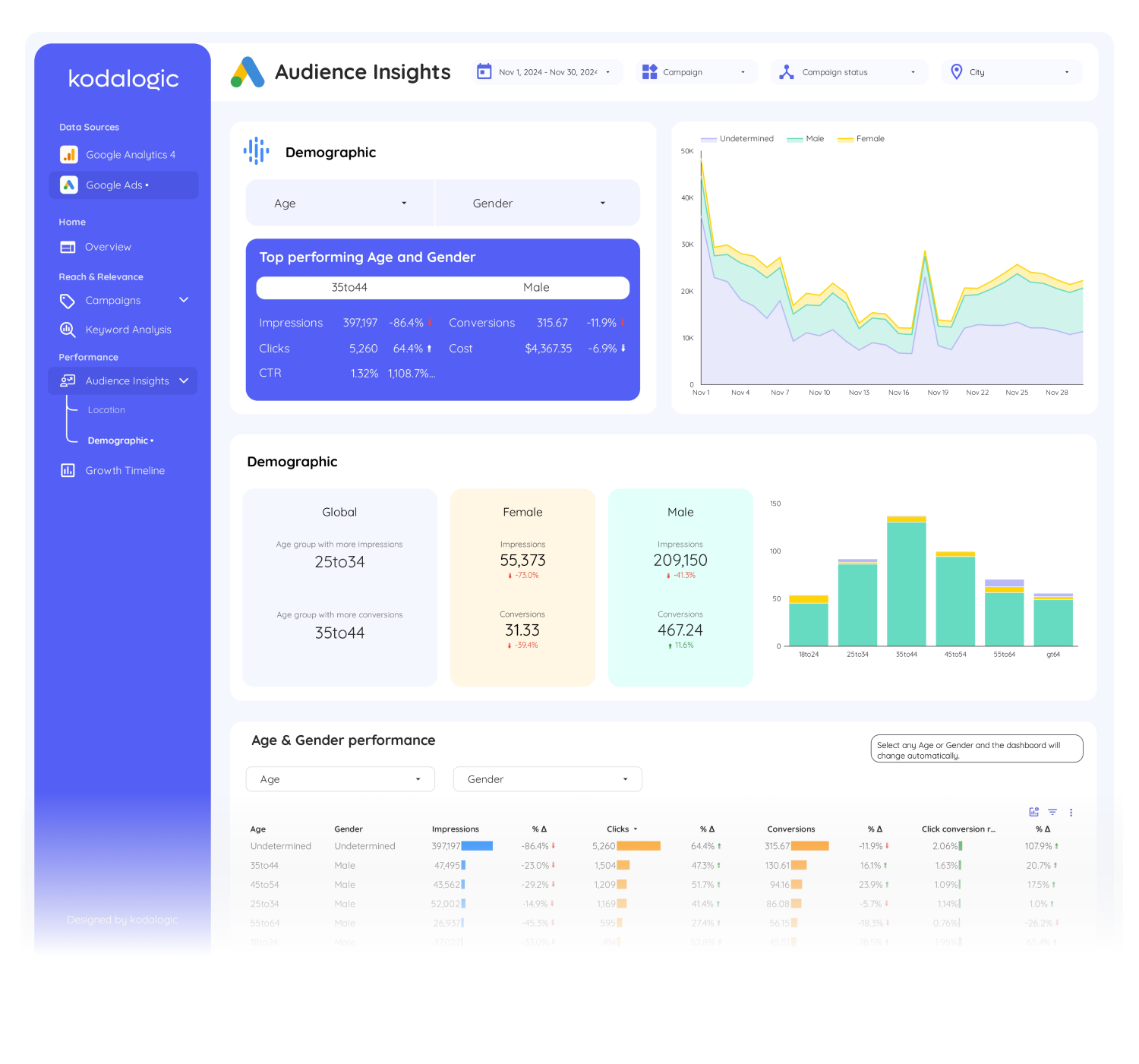 ga4--google-ads-dashboard - 8